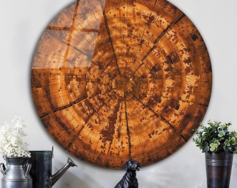 Decoración de pared rústica de vidrio templado con diseño de anillos de árboles y rodajas de madera redondas.