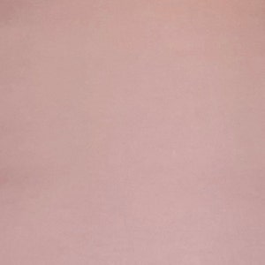 May include: A solid, pale pink background.