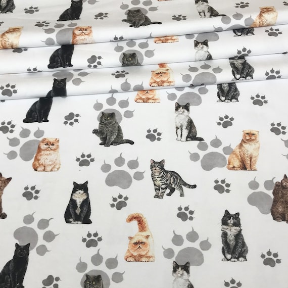 Cat jersey fabric top