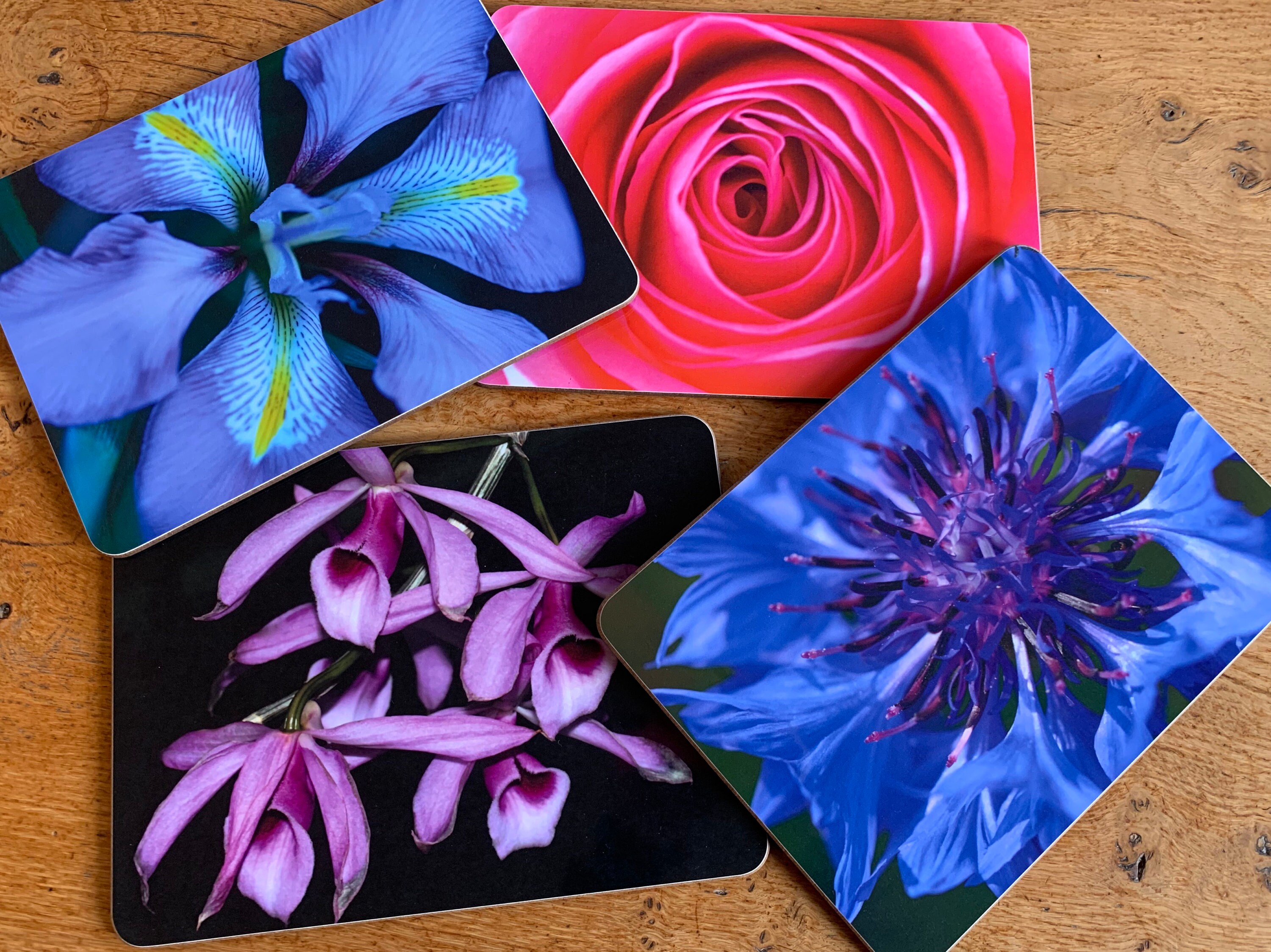 Pink Rose Flower Placemat Large Etsy