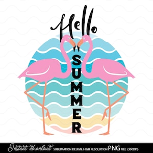 Hallo Sommer Shirt PNG | Sublimationsentwürfe Downloads | Flamingo Silhouette Png | Vintage Sommer T-Shirt | Flamingo Druck Png, Sommer Png