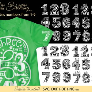 Geburtstagszahlen Bundle auf Englisch, Png Dxf, für Geburtstagsshirts - Kindergeburtstagszahlen Clipart