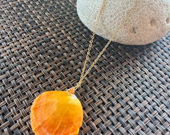 Seashell, tropical, stainless steel, necklaces