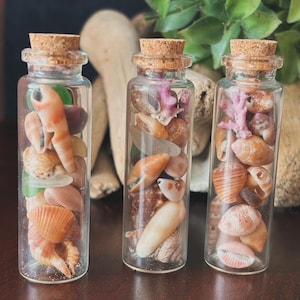 May include: Three glass bottles with cork tops filled with various seashells and sea glass. The bottles are arranged in a row on a wooden surface.