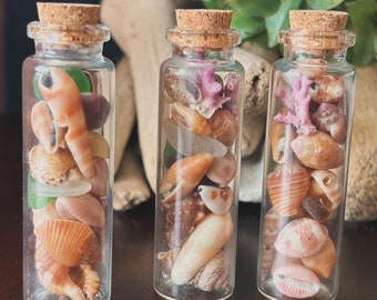 Tiny, Treasures, Seashells, Seaglass, Glass, Jars