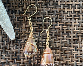 Genuine, seashell, dangle earrings