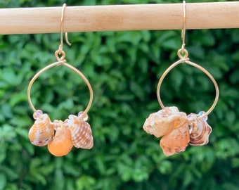 Real seashells mix, hoop earrings