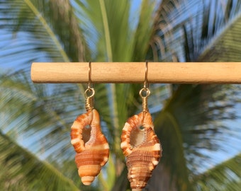 Genuine, natural, triton, seashell, handmade, earrings