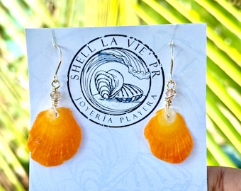 Scallop, seashell, tropical, earrings, orange, burgundy, yellow, color
