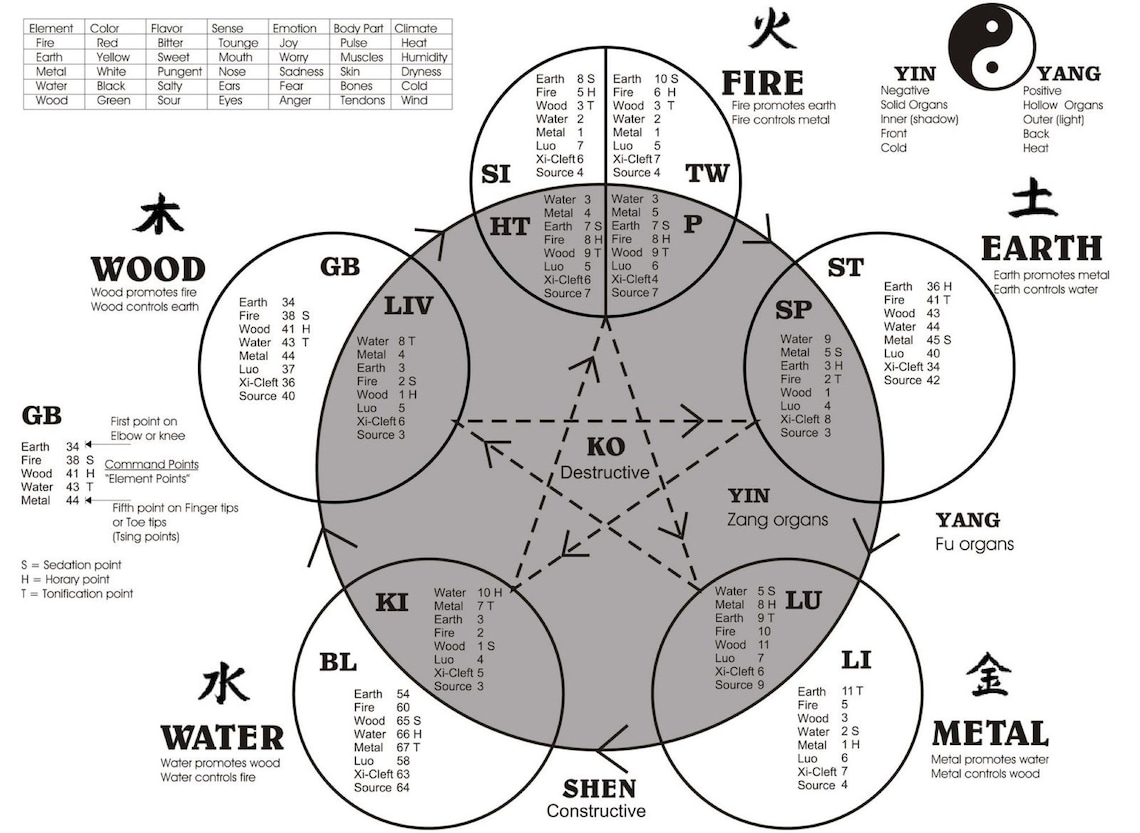 Chinese Fortune Telling Numerology Health Reading With Etsy