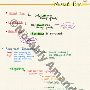 May include: A diagram explaining muscle tone with different types of muscle tone, including normal, hypotonic, hypertonic, rigidity, and spasticity. The diagram also explains reciprocal inhibition, which is the process by which the contraction of one muscle group leads to the relaxation of its antagonist muscle group.