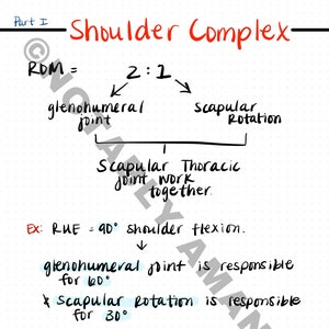 Occupational Therapy Shoulder Complex PRINTABLE Notes