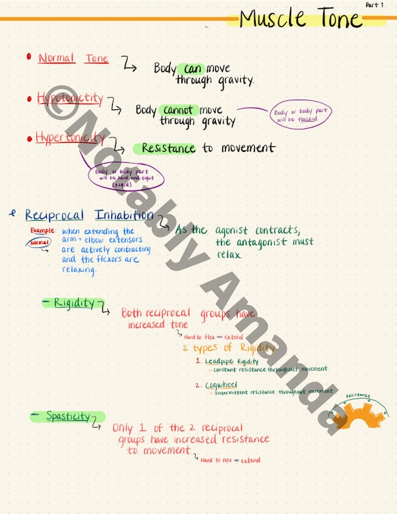 Occupational Therapy Muscle Tone Assessments PRINTABLE Notes Etsy