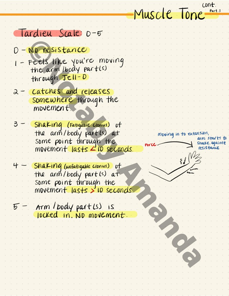 Occupational Therapy Muscle Tone Assessments PRINTABLE Notes Etsy
