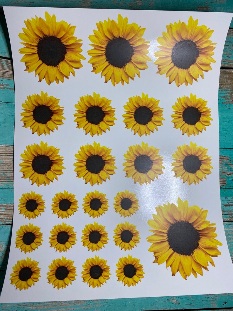 Sunflower waterslide full sheet Laser decal Waterslide tumbler | Etsy