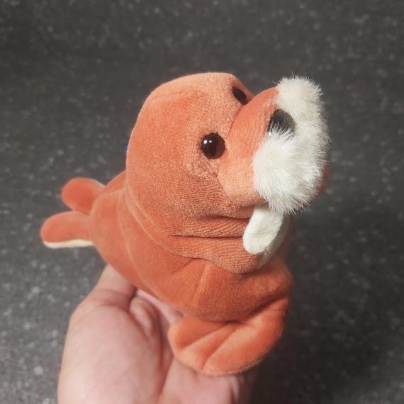 Small Walrus Mini Walrus Puppy Mini Walrus Dog Cost Outlet