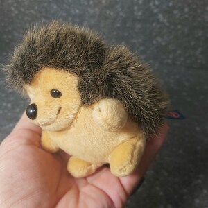 Cute Hedgehog stuffed vintage. Hedgehog Trudi Mini Collection. Hedgehog stuffed animal. Hedgehog vintage plush. Stuffed Hedgehog vintage. Trudi Hedgehog vintage. Hedgehog stuffed vintage. Plush Hedgehog Trudi Mini Collection Italy