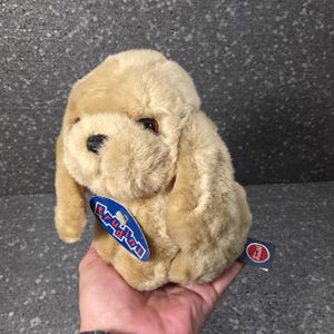 Op de afbeelding: Een beige pluche hondenspeeltje met lange slappe oren, donkerbruine ogen en een zwarte neus. Een blauw ovaal label met de witte tekst Trudi is aan de voorzijde bevestigd en een klein rood-wit label met de tekst Trudi bevindt zich aan de zijkant.