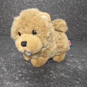 Op de afbeelding: Een pluche speelgoed in de vorm van een pluizige, tan-kleurige hond met een ronde kop, kleine oren, donkerbruine ogen, een zwarte neus en een klein grijs tongetje dat uit de mond steekt. Een klein blauw label met witte tekst zit aan de zijkant.