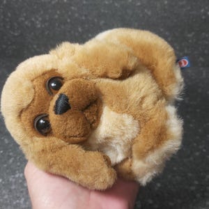 Puede incluir: Un perro de peluche marrón y crema con ojos negros y nariz negra. El perro está acurrucado en una posición para dormir.