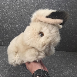 Puede incluir: Un juguete de conejo de peluche cubierto de piel sintética suave de color crema con una mancha distintiva de piel marrón oscuro en la parte superior de la cabeza. El animal de peluche presenta un cuerpo redondeado, una nariz pequeña y un ojo marrón.