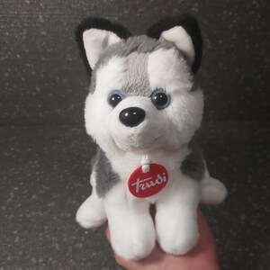 Puede incluir: Un juguete de peluche de husky gris y blanco con ojos azules. El juguete tiene una etiqueta roja que dice "Trudi".