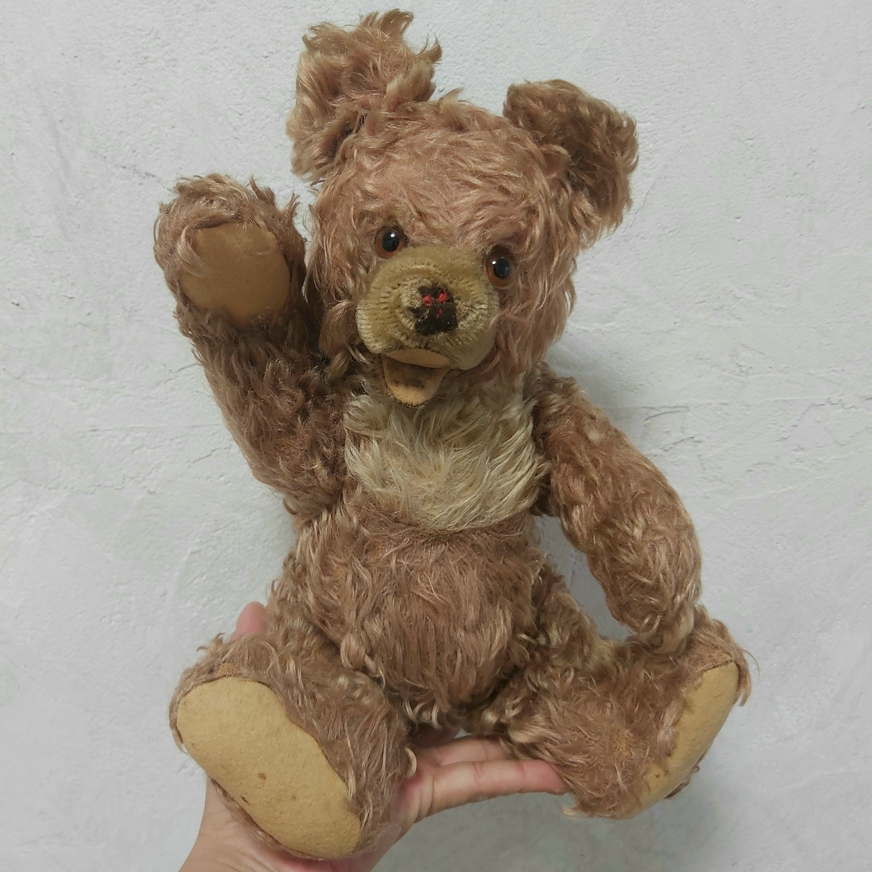 Steiff zotty bear - Etsy 日本