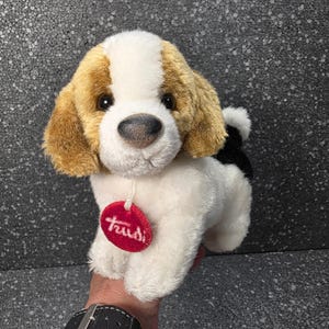 Op de afbeelding: Een pluche hond met witte, lichtbruine en zwarte vacht. De hond heeft hangende lichtbruine oren, een witte streep op de kop en een zwarte neus. Een rond rood label met de witte tekst Trudi hangt aan een wit koord om de nek van het knuffeldier.