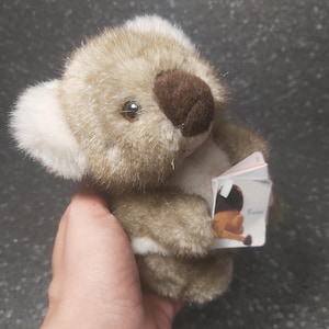 Op de afbeelding: Een pluche bruine en witte koalabeer die een klein boekje vasthoudt met een afbeelding van een leeuw op de omslag. Op het boekje staat "Friends".