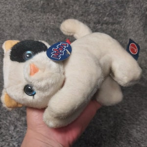 Op de afbeelding: Een pluche witte kat met zwarte en bruine vlekken op zijn kop en blauwe ogen. Het knuffeldier heeft een roze neus en een rode kraag. Een blauw label met witte tekst is aan de kat bevestigd.