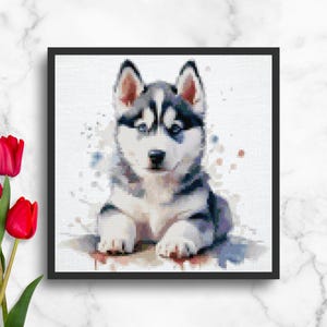 Può includere: Dipinto ad acquerello incorniciato di un cucciolo di Husky siberiano. Il cucciolo ha gli occhi blu, il pelo grigio e bianco ed è sdraiato. Il dipinto ha un effetto acquerello con spruzzi colorati sullo sfondo. La cornice è nera.