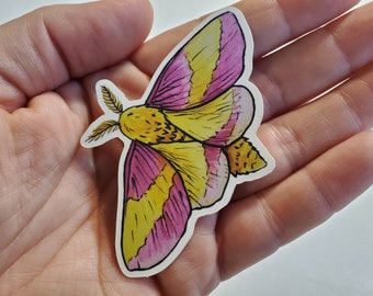 Moth Vinyl Sticker Set