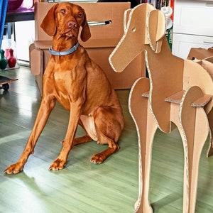 Planos para estantería/organizador de cartón en forma de perro Bracco Muebles de cartón Mesita Animales