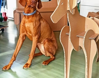 Bracco Dog Cardboard Shelf Blueprints: DIY Organizer (Digital File)