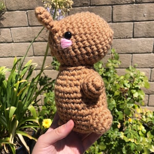 Capybara