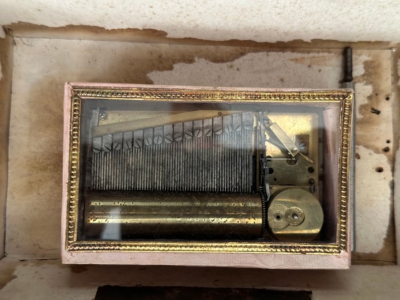Pu&ograve; includere: Una scatola musicale vintage con un coperchio di vetro che rivela il funzionamento interno del meccanismo. La scatola musicale &egrave; in legno e ha una finitura dorata. Il meccanismo &egrave; in metallo e ha una finitura color ottone.