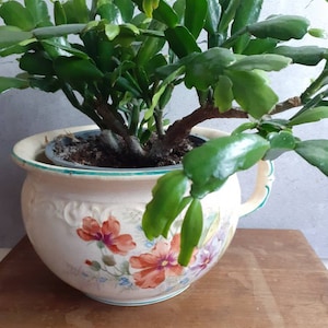 Vintage ceramic chamber pot, potty, Poppelsdorf,Germany/ North-Rhine, floral plant holder, bedroom decor, well marked