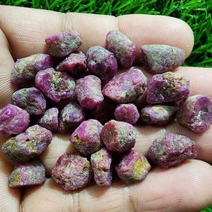 May include: A collection of rough ruby gemstones in a hand. The stones are a deep pinkish-red colour with some green and yellow hues. The gemstones are uncut. Green grass is visible in the background.