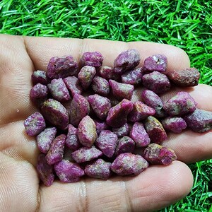 May include: A collection of raw ruby gemstones, exhibiting a rich reddish-purple colour and a rugged, unpolished texture. The gemstones are held against a backdrop of green grass, accentuating their natural beauty.
