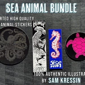 Set van 4 zeedierenbundel stickers van hoge kwaliteit stickers Oceanic Creatures voor onderwateravontuur, geschenken en accessoires