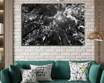 Rays and Branch Art Print Tree Branches Wall Art Trees Canvas Print Tree Branch Print Nature Poster Print Tree Wall Decor Leaf wall decor