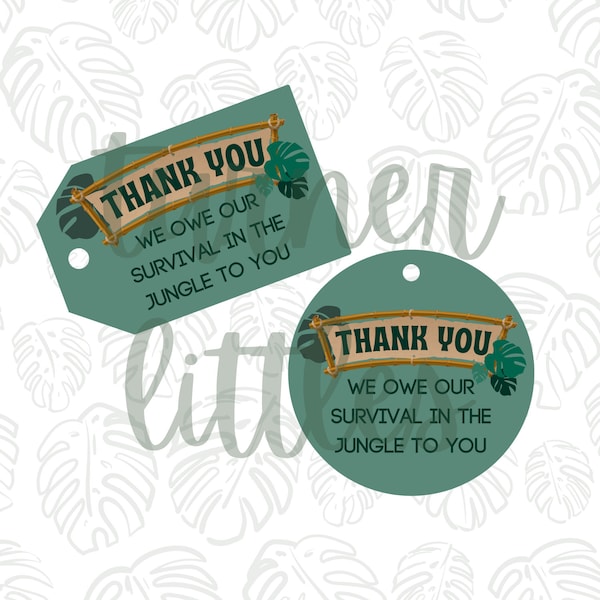 Volunteer Appreciation Decorations - Etsy
