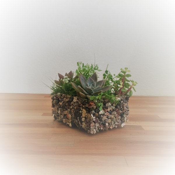 Shallow Planter with Drainage
