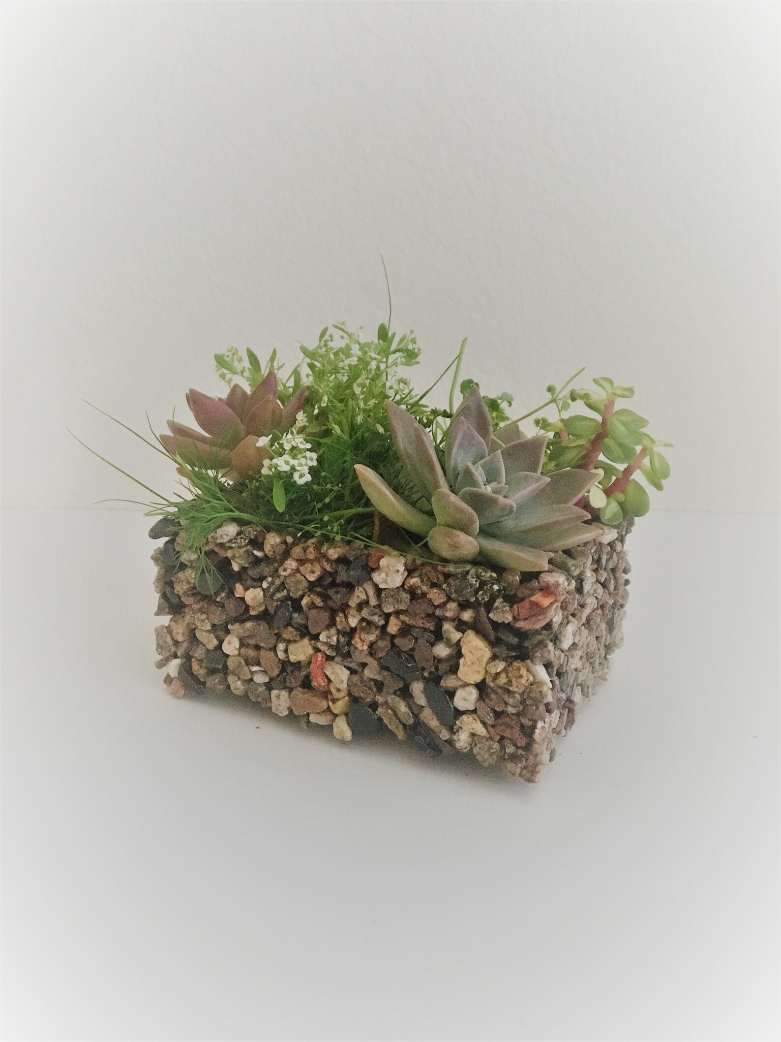 Stone Planter with Drainage Etsy