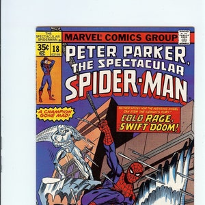 Peter Parker The Spectacular Spider-Man  #18  nm-