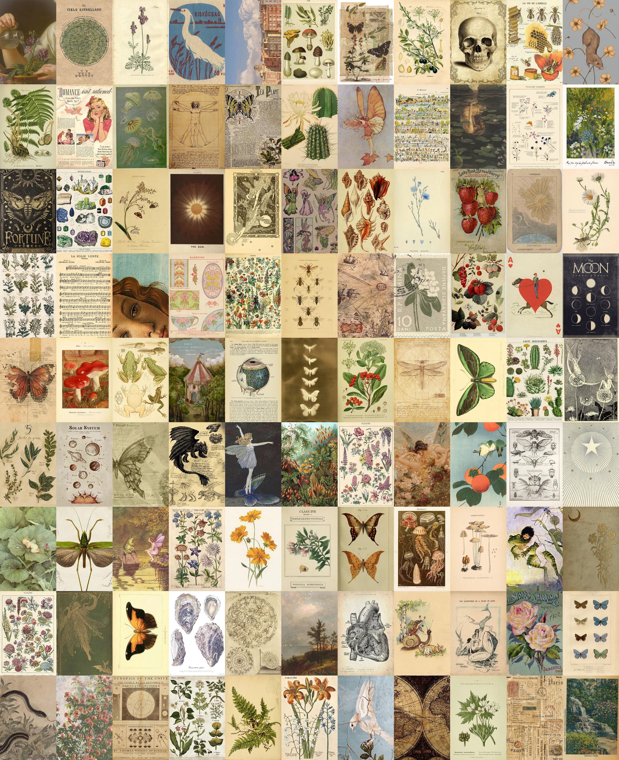 100 PCS | Cottagecore Botanical Collage Kit | Vintage Plant Prints | Dark Nature Wall Art | Rustic Green Decor | Vintage Botanical Wall Art