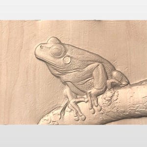 May include: A detailed relief carving of a frog perched on a branch. The frog is depicted in a side profile, with its large eyes and textured skin visible. The carving is done in a light brown color, giving it a natural and earthy feel.
