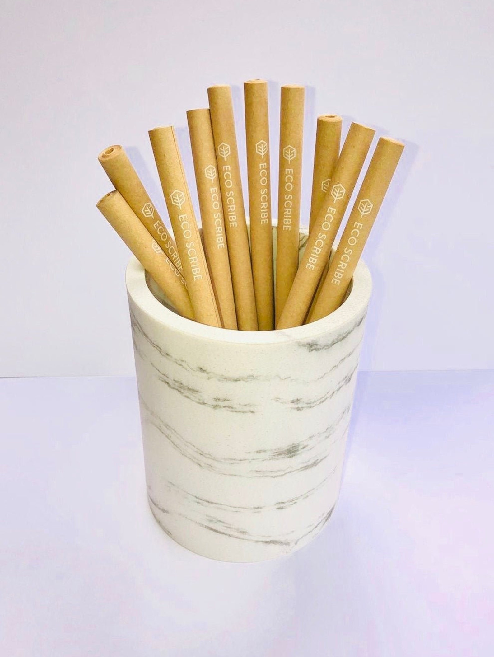 Eco Friendly Paper Pens, 100 PLASTIC FREE, Black Ink Ballpoint Biros