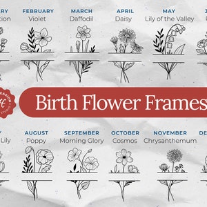 Birth Month Flower Frame SVG Bundle, Bouquet Clipart, Floral Svg, Botanical Svg, Flower Tattoo, Monogram Border, Wildflower, Birthday Doodle