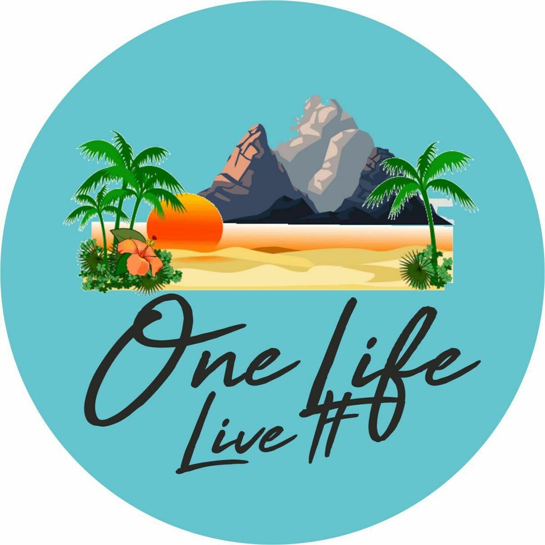 One Life Live It Vinyl Sticker Camper Camping Skate T5 T4 T3 T25 T1 Van ...